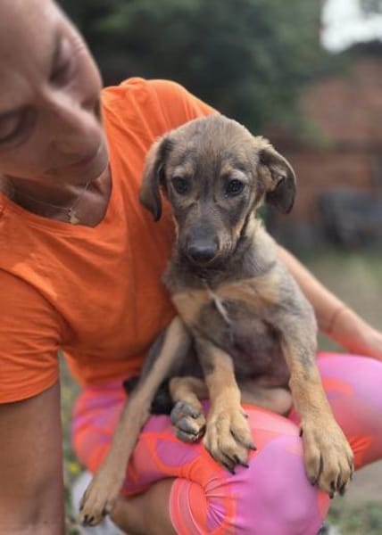 Maddie - das Welpenmädchen aus dem Müll