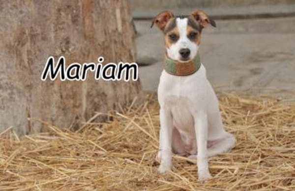 Darf Mariam die Welt bunt machen