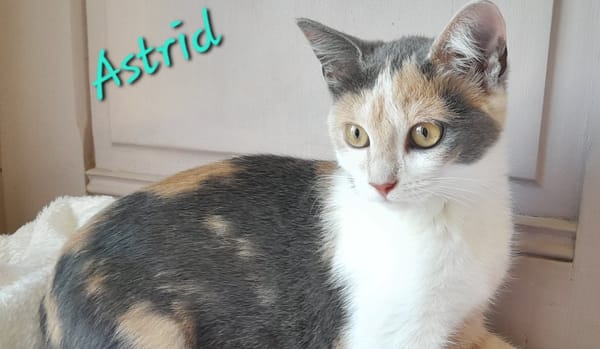 Astrid