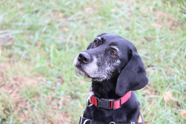 SALLY