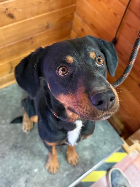 ROSCO (Maria)