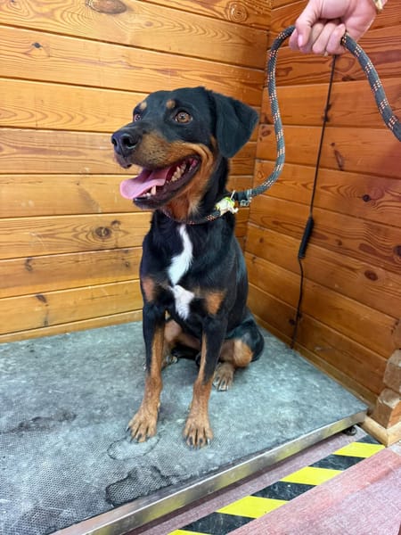 ROSCO (Maria)