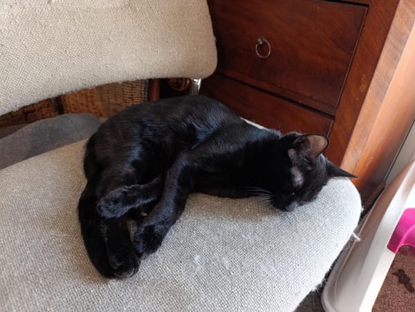 Luna