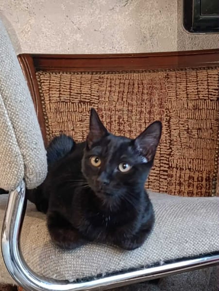 Luna
