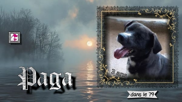 Paga