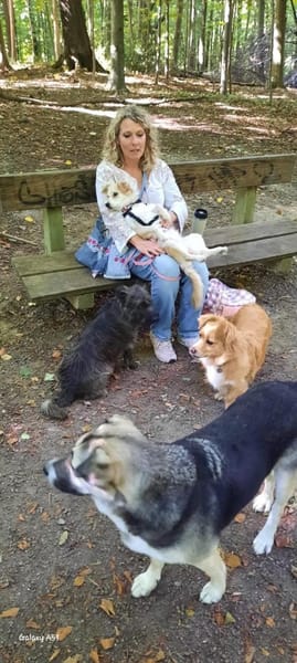 Elsa, zarte Hündin sucht aktive Familie