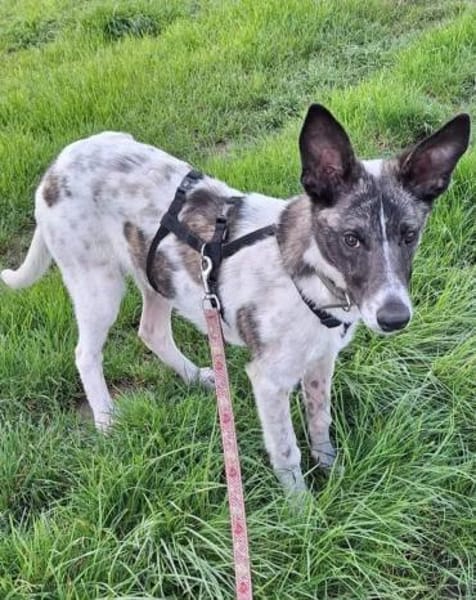 Franka❤ sucht ihre Familie