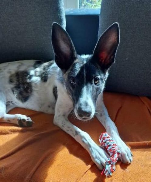Franka❤ sucht ihre Familie