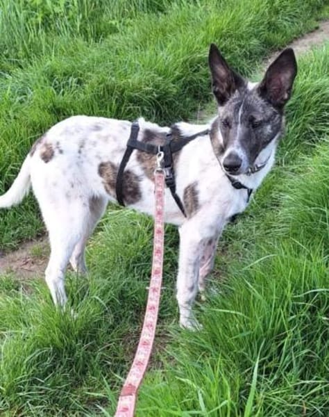 Franka❤ sucht ihre Familie