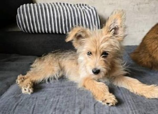 Lila💜 sucht ihre Familie
