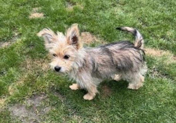 Lila💜 sucht ihre Familie