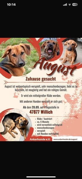 💙August💙 sucht seine Menschen