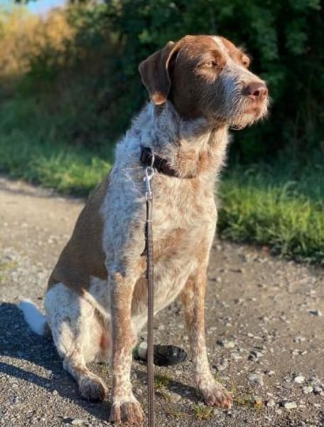 Rudi sucht zweite Chance