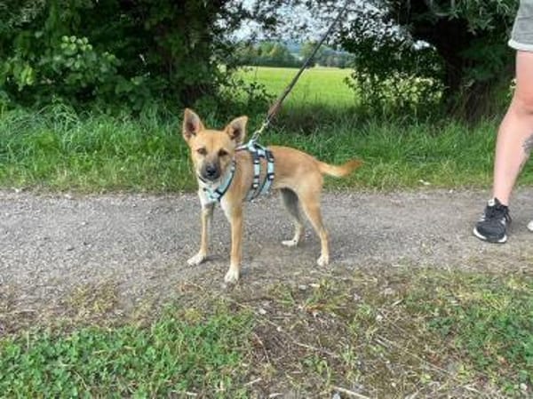 Lani will noch viel lernen