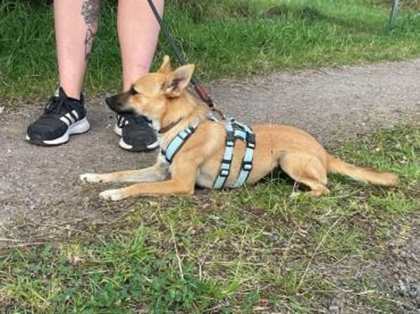 Lani will noch viel lernen