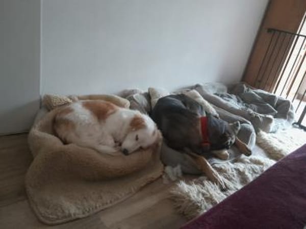 Wem kann ich vertrauen? - LILY