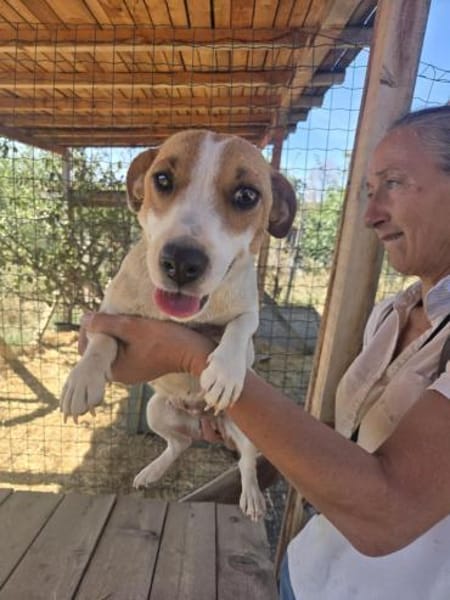 Shirley sucht ein Zuhause