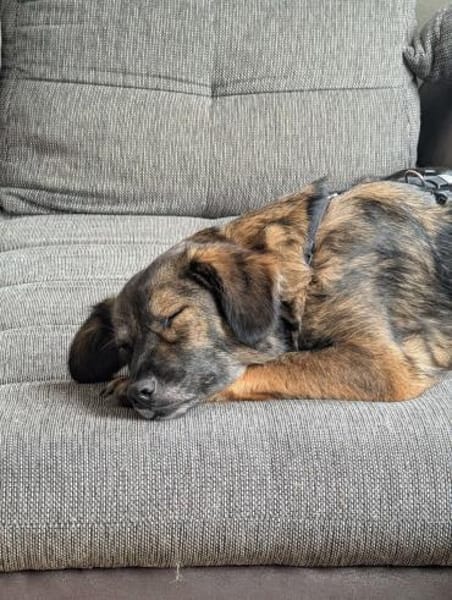 Ally, die Zauberhafte
