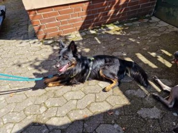 Herr Hüter su. aktives Zuhause