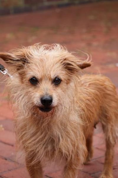 ***LILLY - fitte Seniorin!***