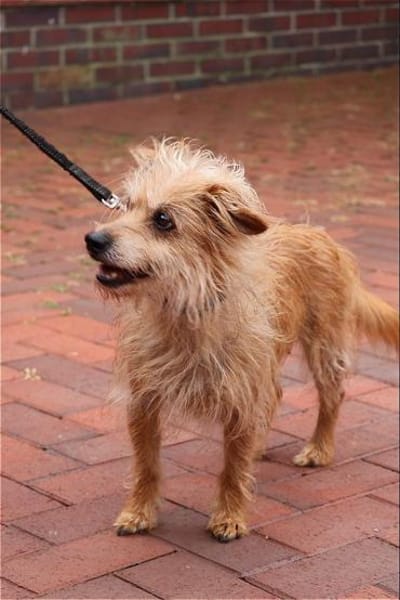 ***LILLY - fitte Seniorin!***