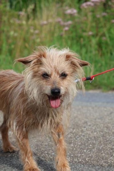 ***LILLY - fitte Seniorin!***