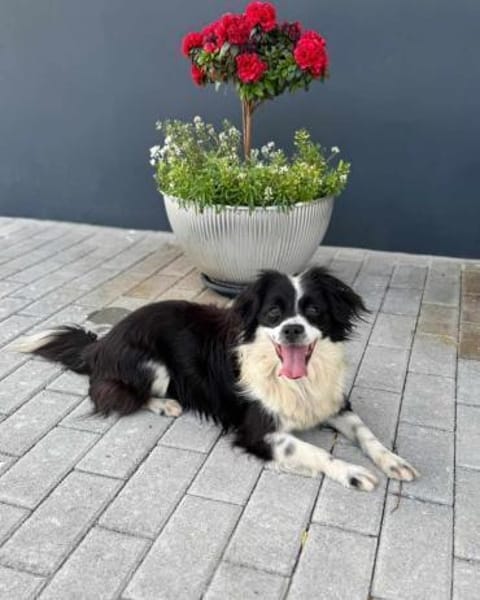 Knutschkugel Luna