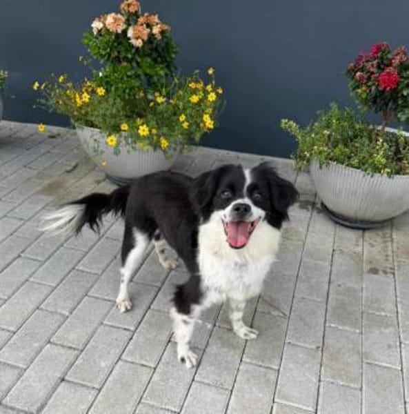 Knutschkugel Luna