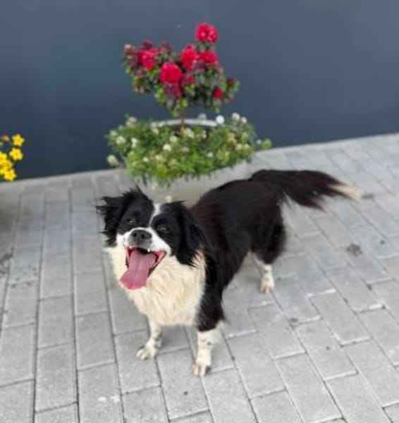 Knutschkugel Luna