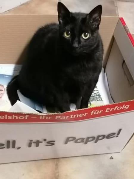 Marla