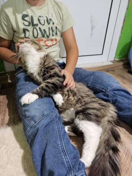 FANNY - liebt kuscheln und schmusen!