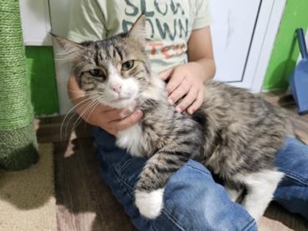 FANNY - liebt kuscheln und schmusen!