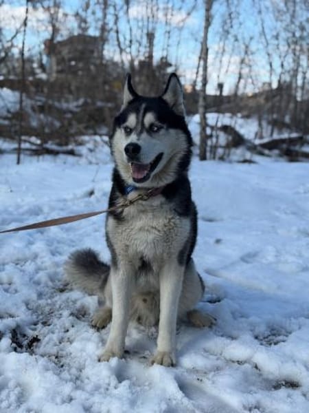 HARLEY- sucht aktive Familie
