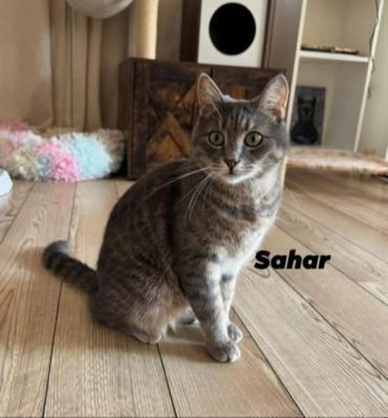 Sahar & Lemon  Kinderliebes Dreamteam