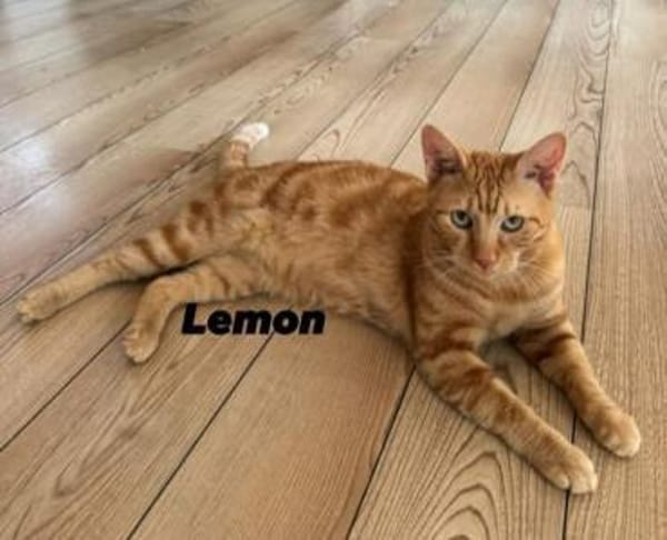 Sahar & Lemon  Kinderliebes Dreamteam