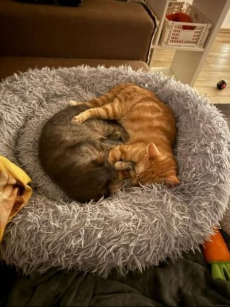 Sahar & Lemon  Kinderliebes Dreamteam