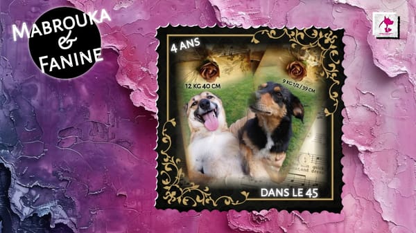 Mabrouka & Fanine