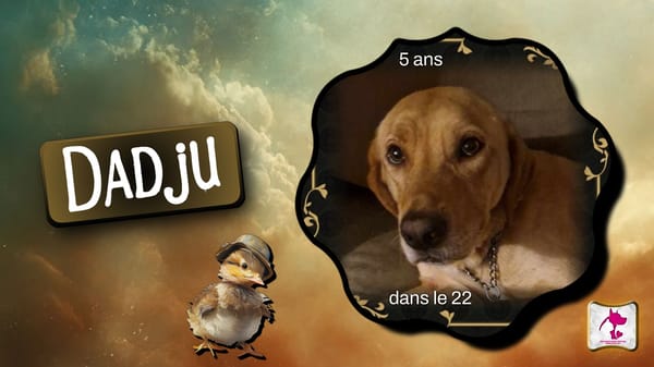 Dadju