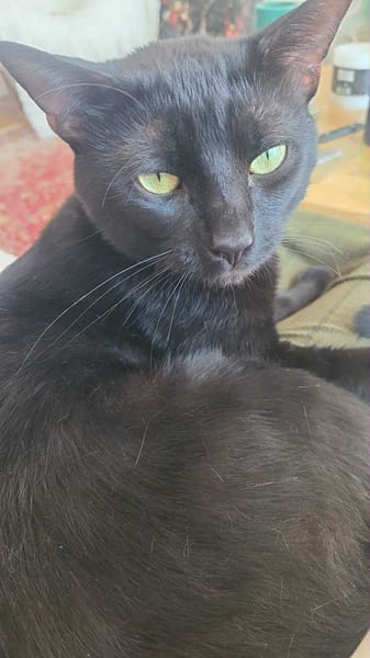 Athos