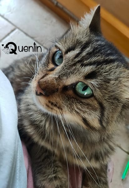 QUENTIN