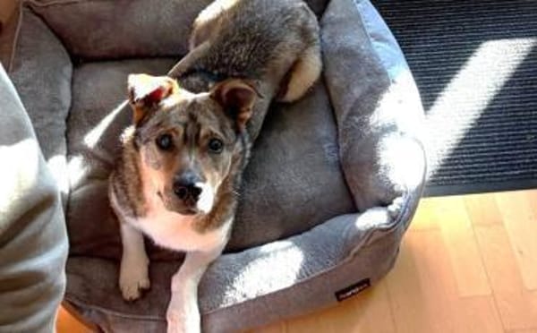 Verliebst du dich in Chicco?