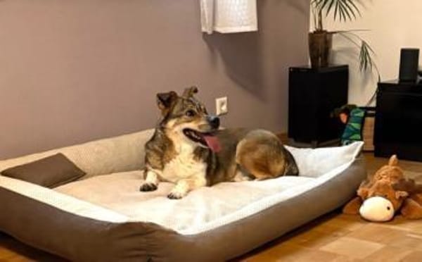 Verliebst du dich in Chicco?