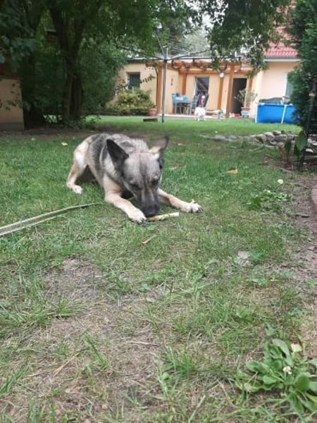 Wunderbare Nyura sucht ihre Familie