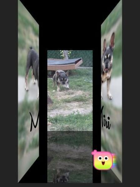 Ich heiße Miri ....