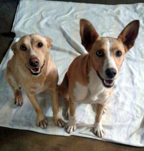 Maria & Joana - Bezauberndes Doppelpack