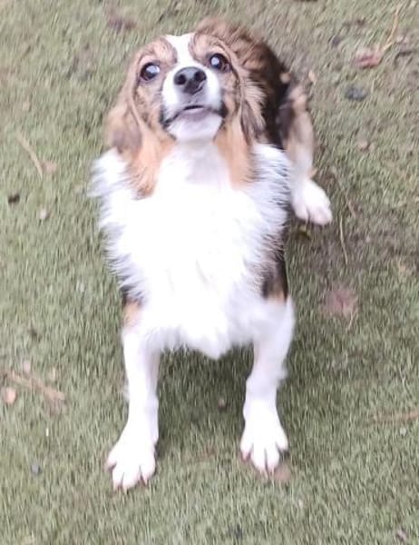 Lilli🧡🧡🧡schönes Plätzchen gesucht