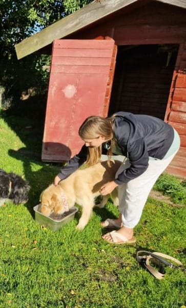 Dina - Familienhund