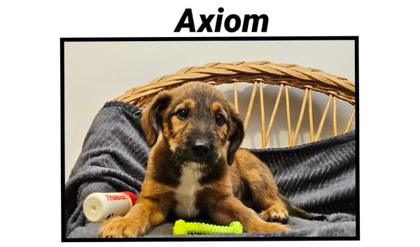 AXIOM(Réservé)