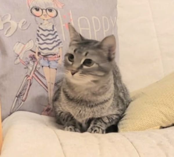 AIKA