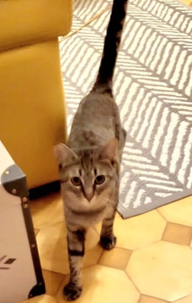 AIKA